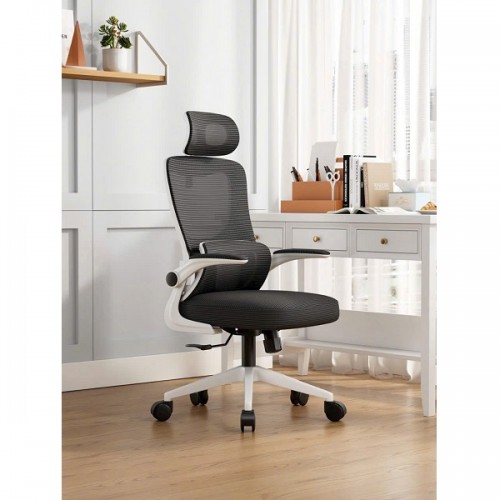 Ghế Công Thái Học 418 - Màu trắng đen